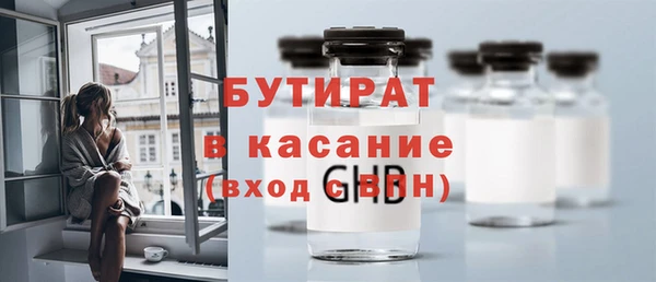 индика Бикин