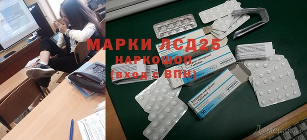 индика Бикин