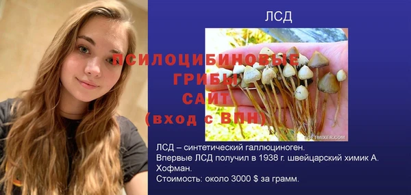 дмт Заволжье