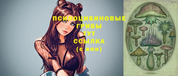 дмт Заволжье