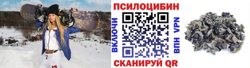 mega как войти  Карпинск  Галлюциногенные грибы Magic Shrooms 
